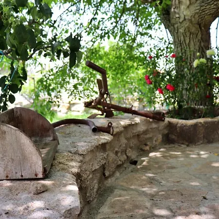 Cantinho D'Aldeia Guarda Exterior photo